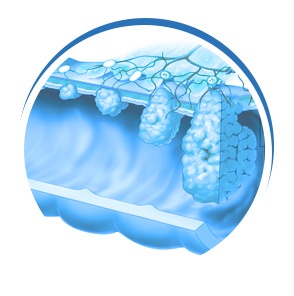 Hemosens-hemoroidi-hrvats Hemosens-hemoroidi-hrvats